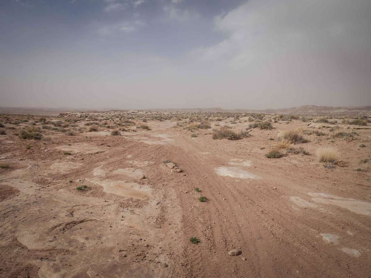 Guys Trail (South) photo 5
