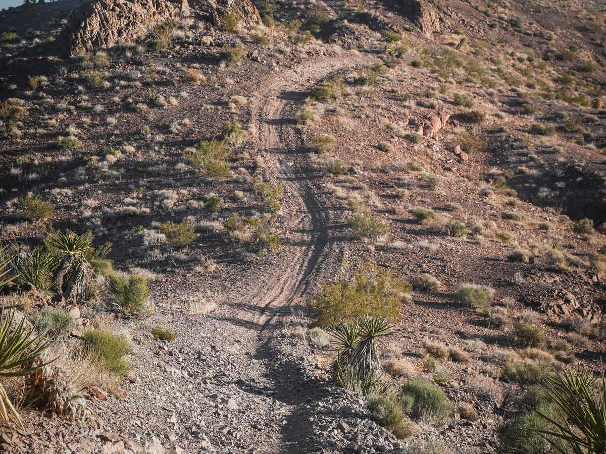 Nelson Single Track photo 2