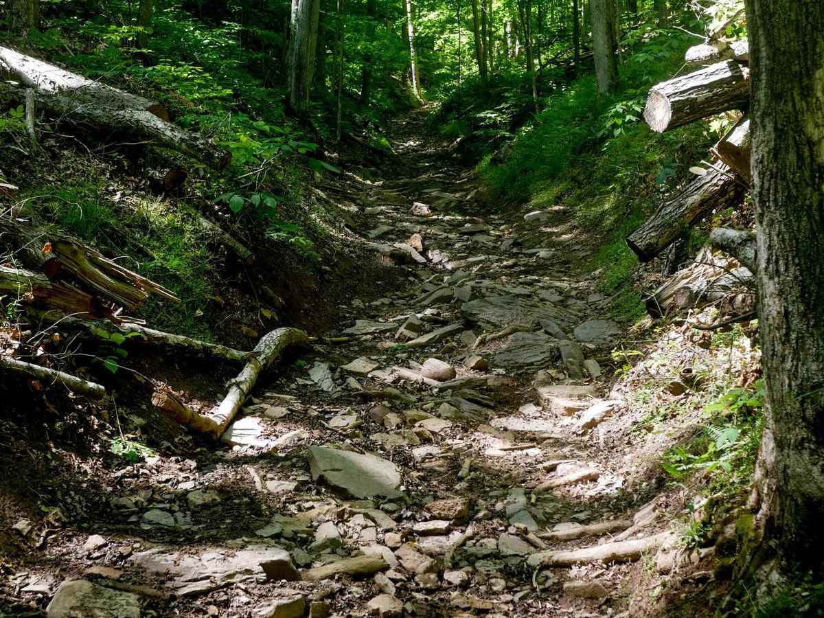 Trail 28 Razor Ridge trail photo