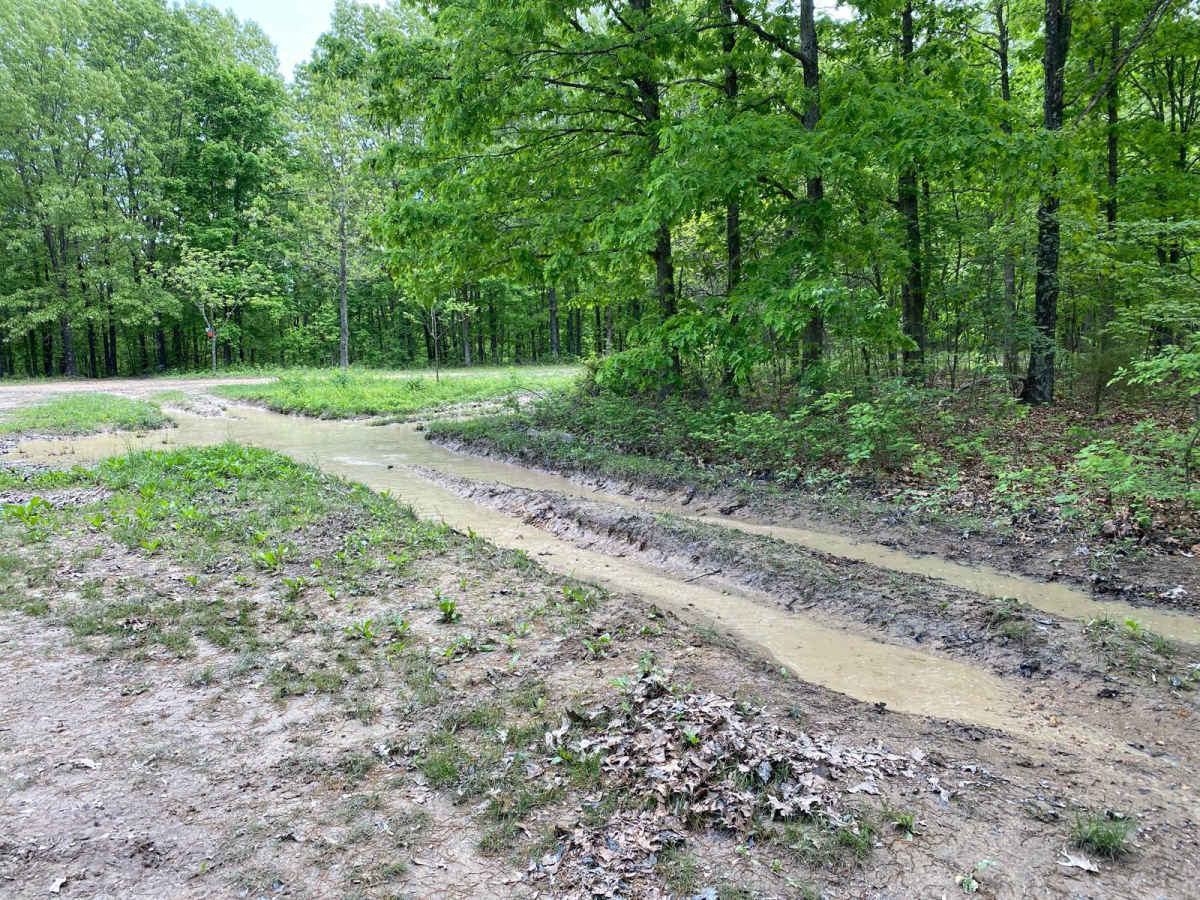 Eastwood Drive photo 6
