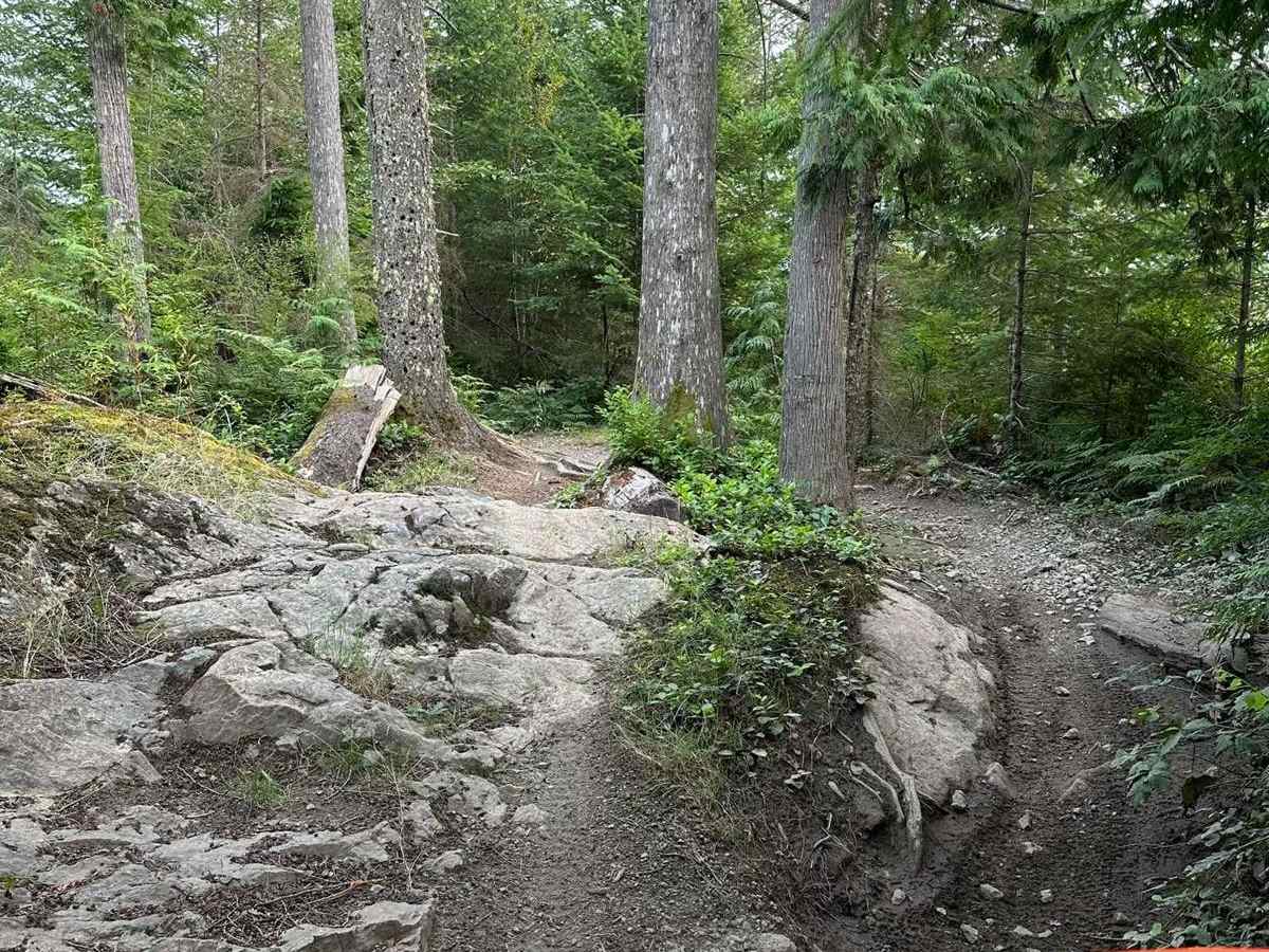 Weber's Wandering photo 5