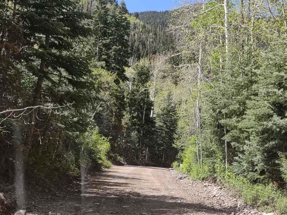 Cascade Creek Falls photo 2
