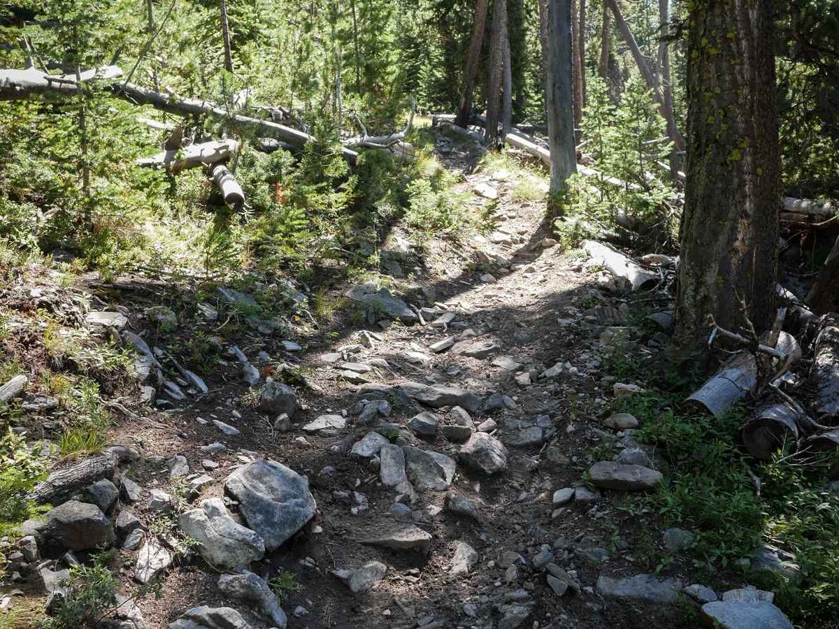 Hidden Lake Divide #66 photo 4
