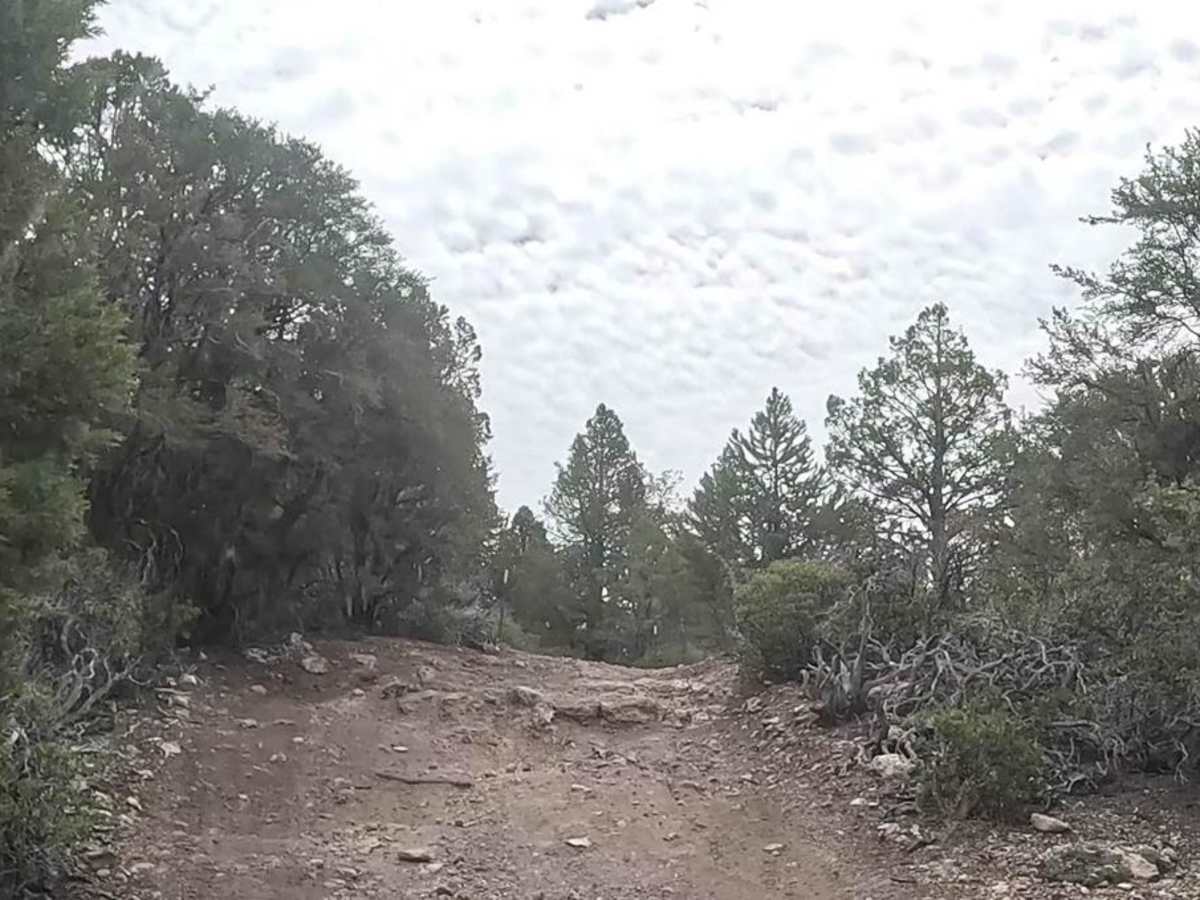 Upper Holcomb - 3N83 photo 3