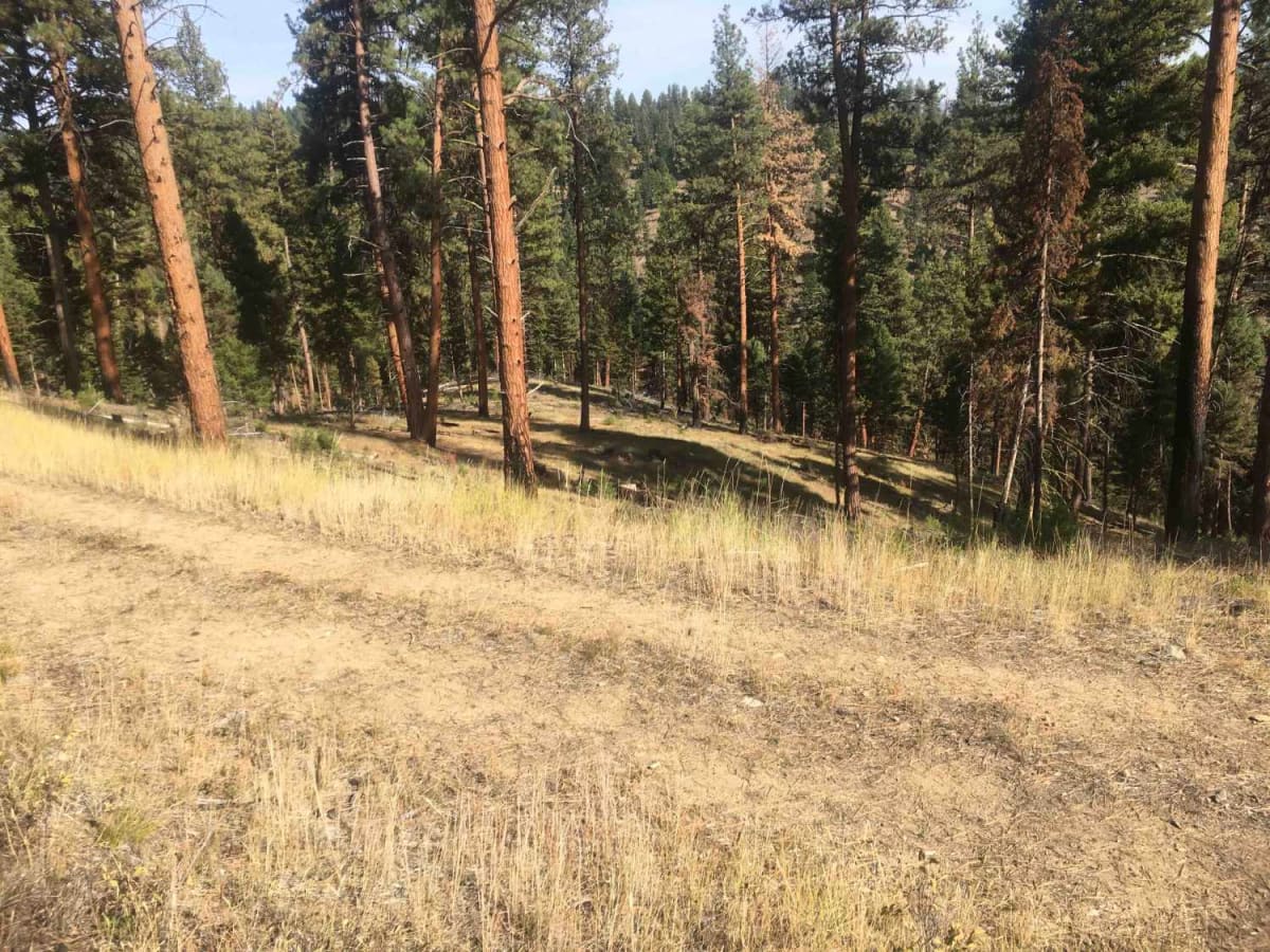 Tepee Creek- 13313 (Southern Portion) photo 5