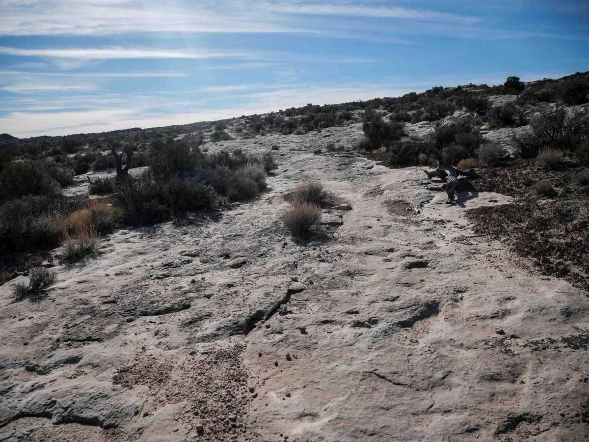 Odds North Access Trail photo 6