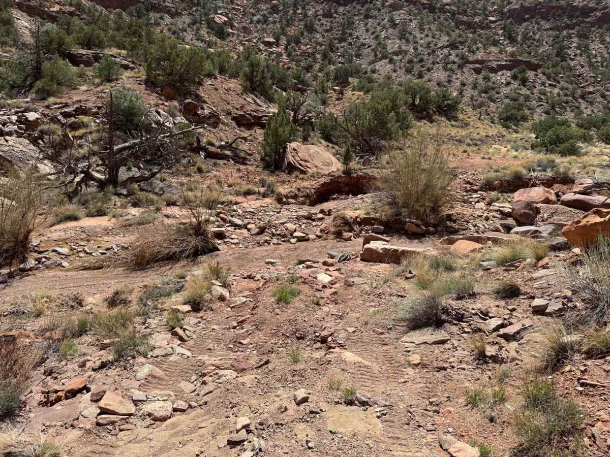 Dry Fork Bull Canyon photo 5