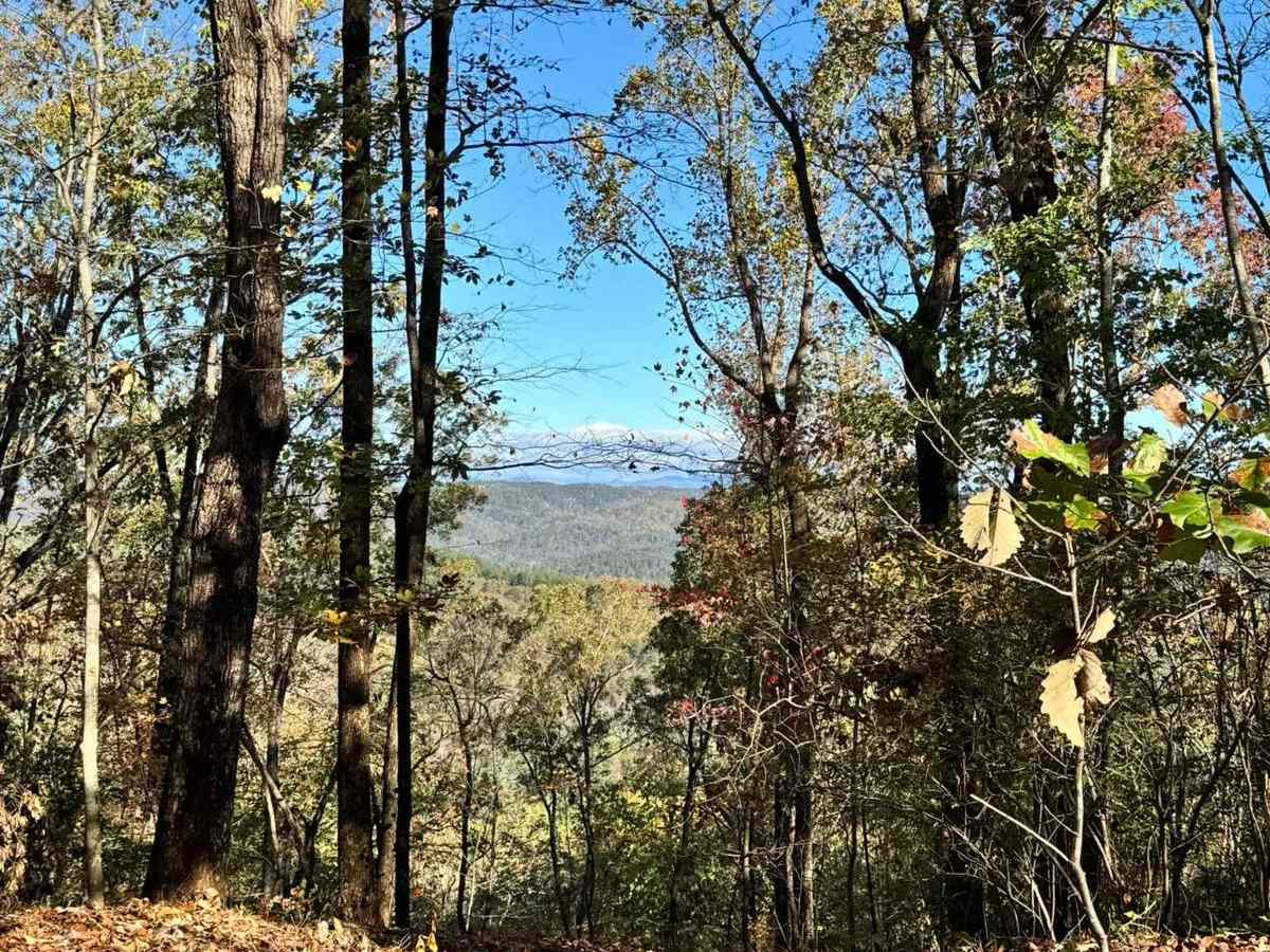Lee Mountain Road - FS 181 trail photo