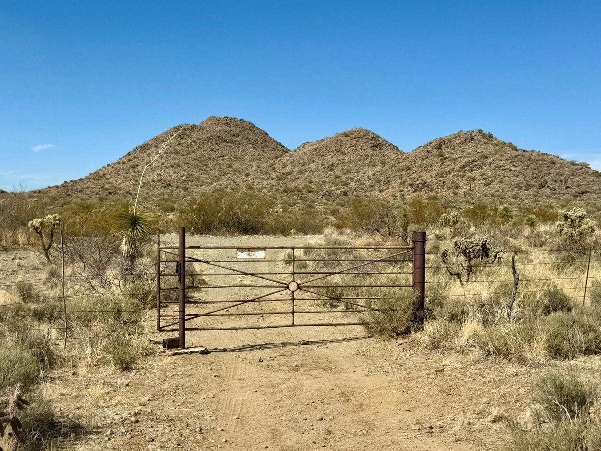 M0775 Black Mountain West Loop photo 5