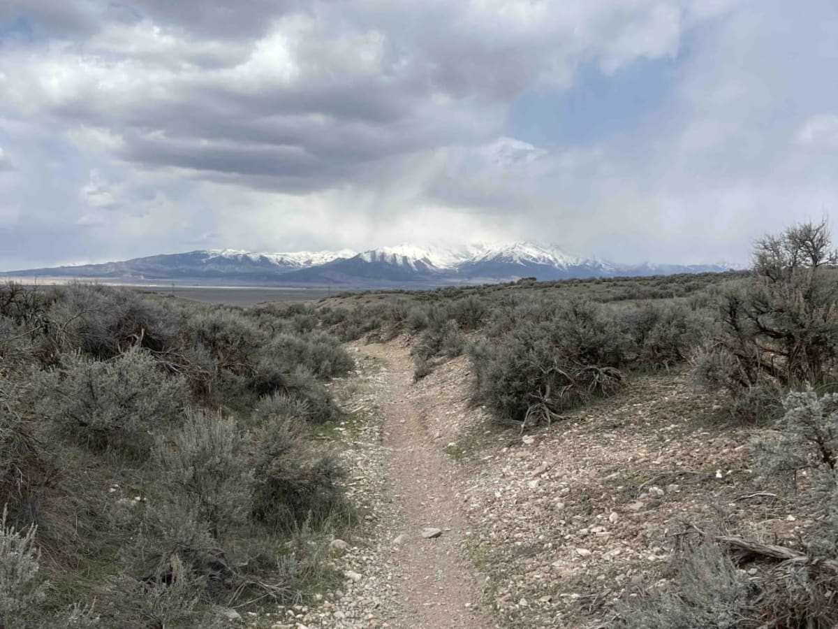 Whoop Monster photo 4