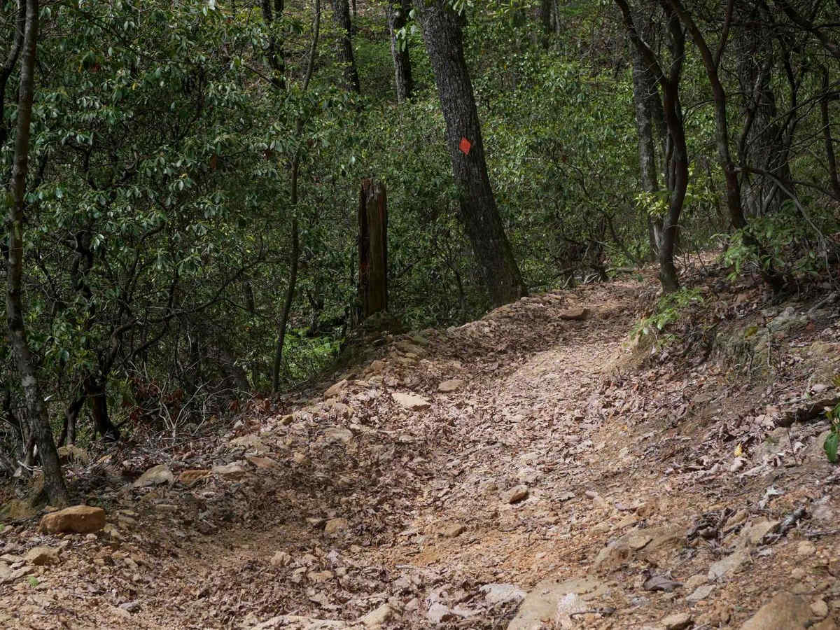 Copperhead Trail B photo 3