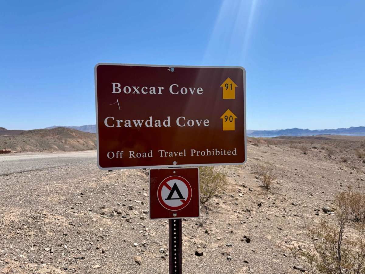 Boxcar Cove photo 3