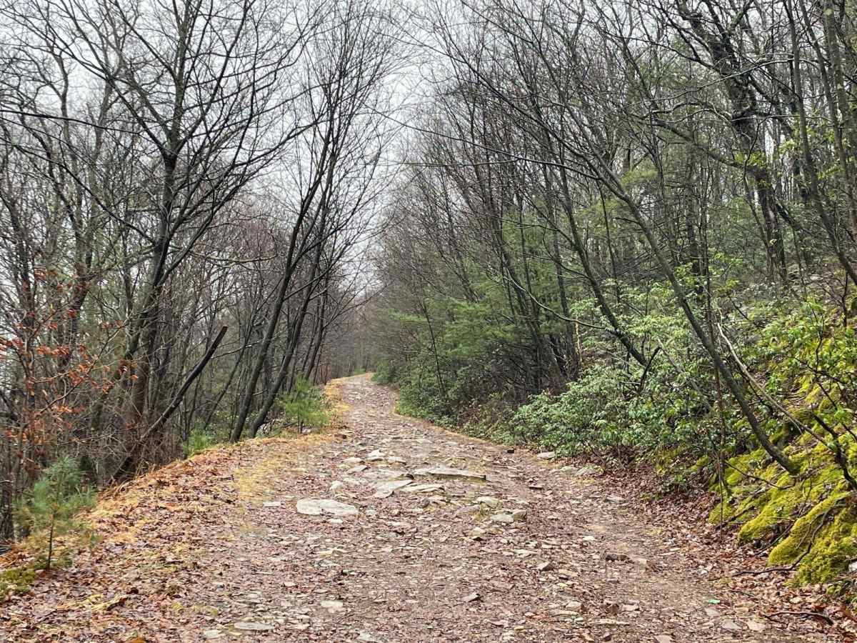 Strongs Mountain Trail (Mid Portion) photo 4
