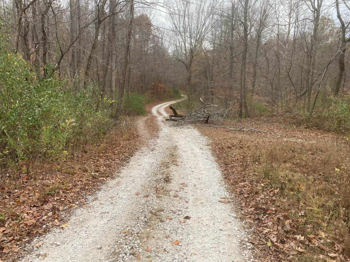 Opossum Trot Road SFR 628 photo 4