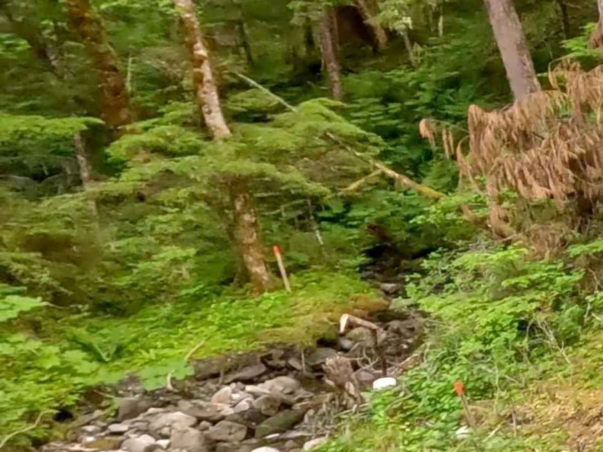 Ridge - 6260 photo 3