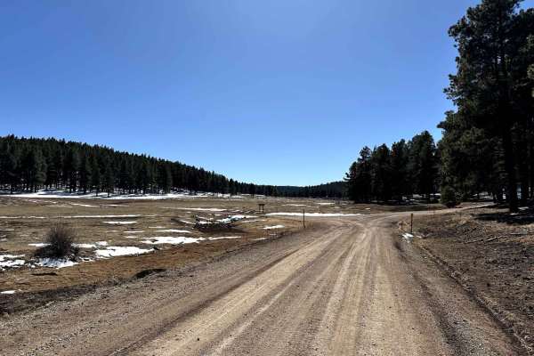 Run to Rio Puerco Campground