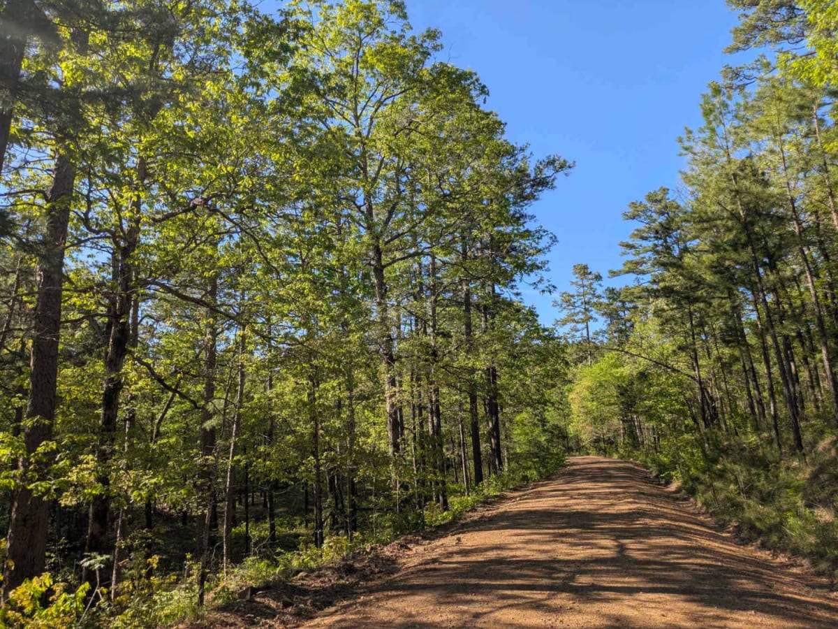 Jones Creek Road trail photo