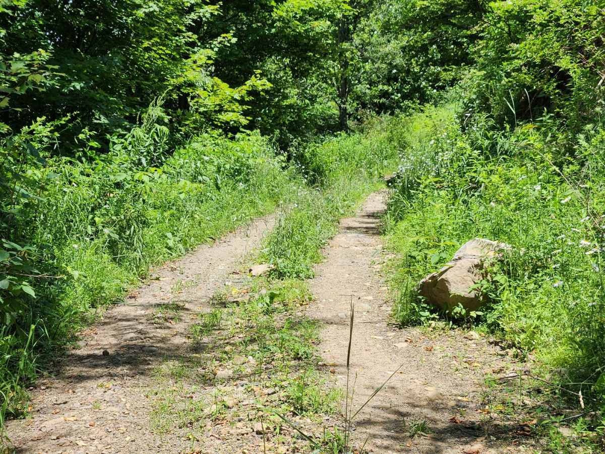 Trail 7A - Rock Run Recreation Area photo 4