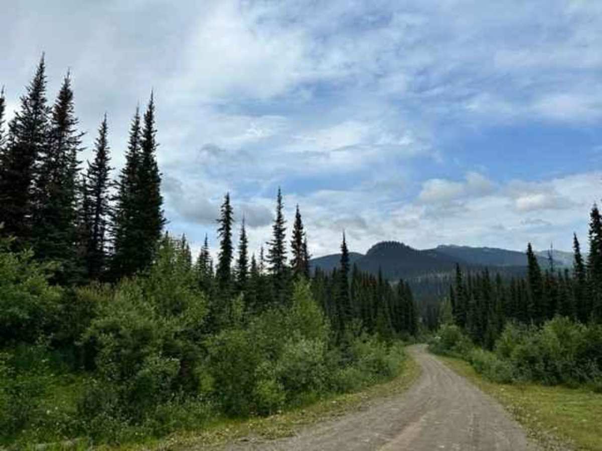 Grower Road photo 2
