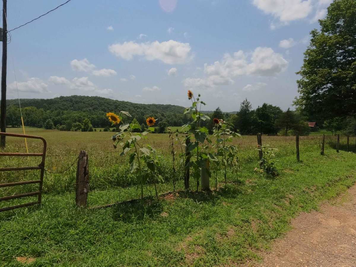 Wayne - CR 302 trail photo