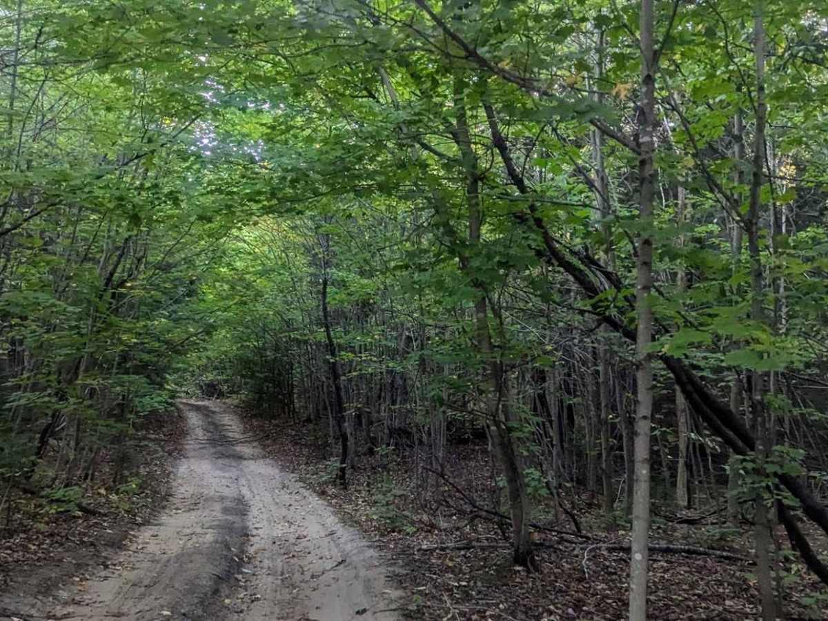 Back Country Route to Crisp Point Lighthouse photo 2