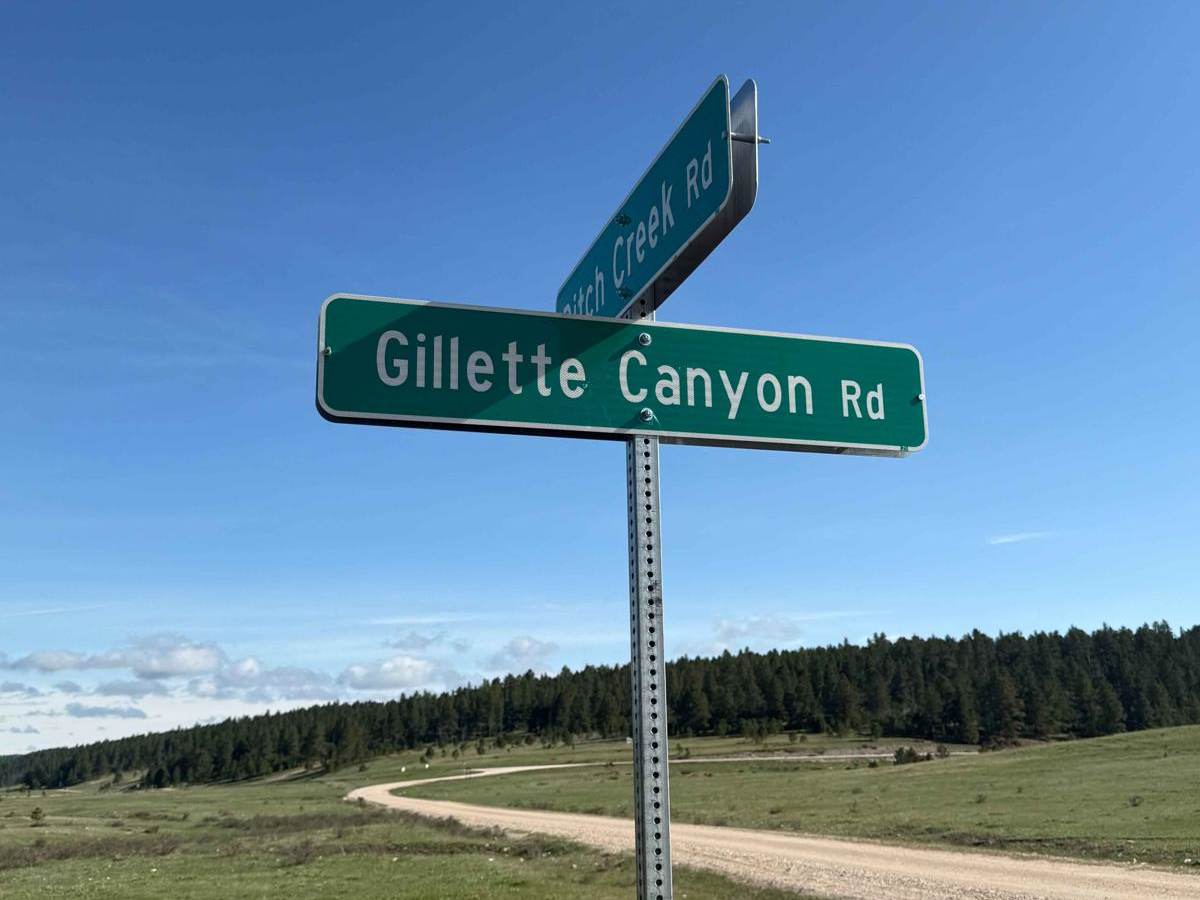 Gillette Canyon - FS 296 trail photo