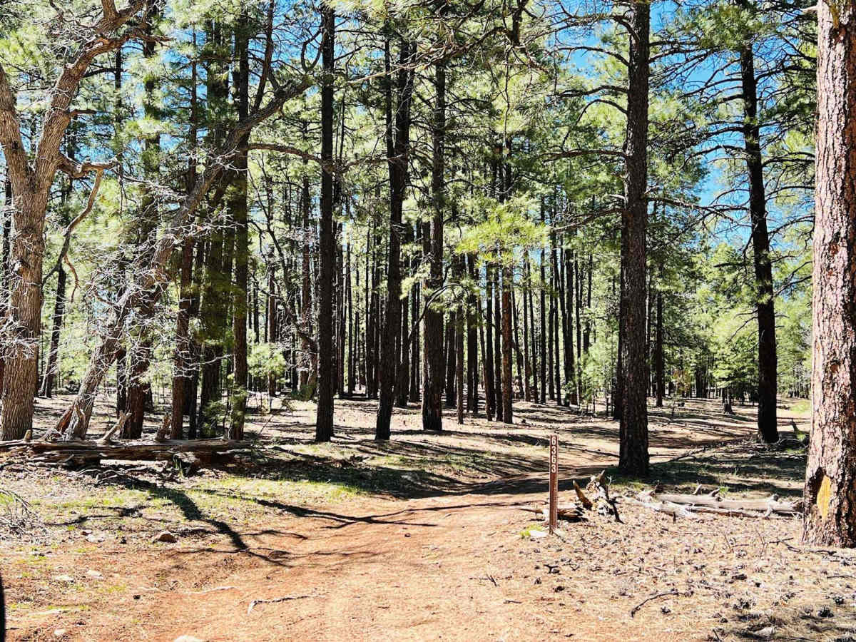FR-6363 No View photo 6