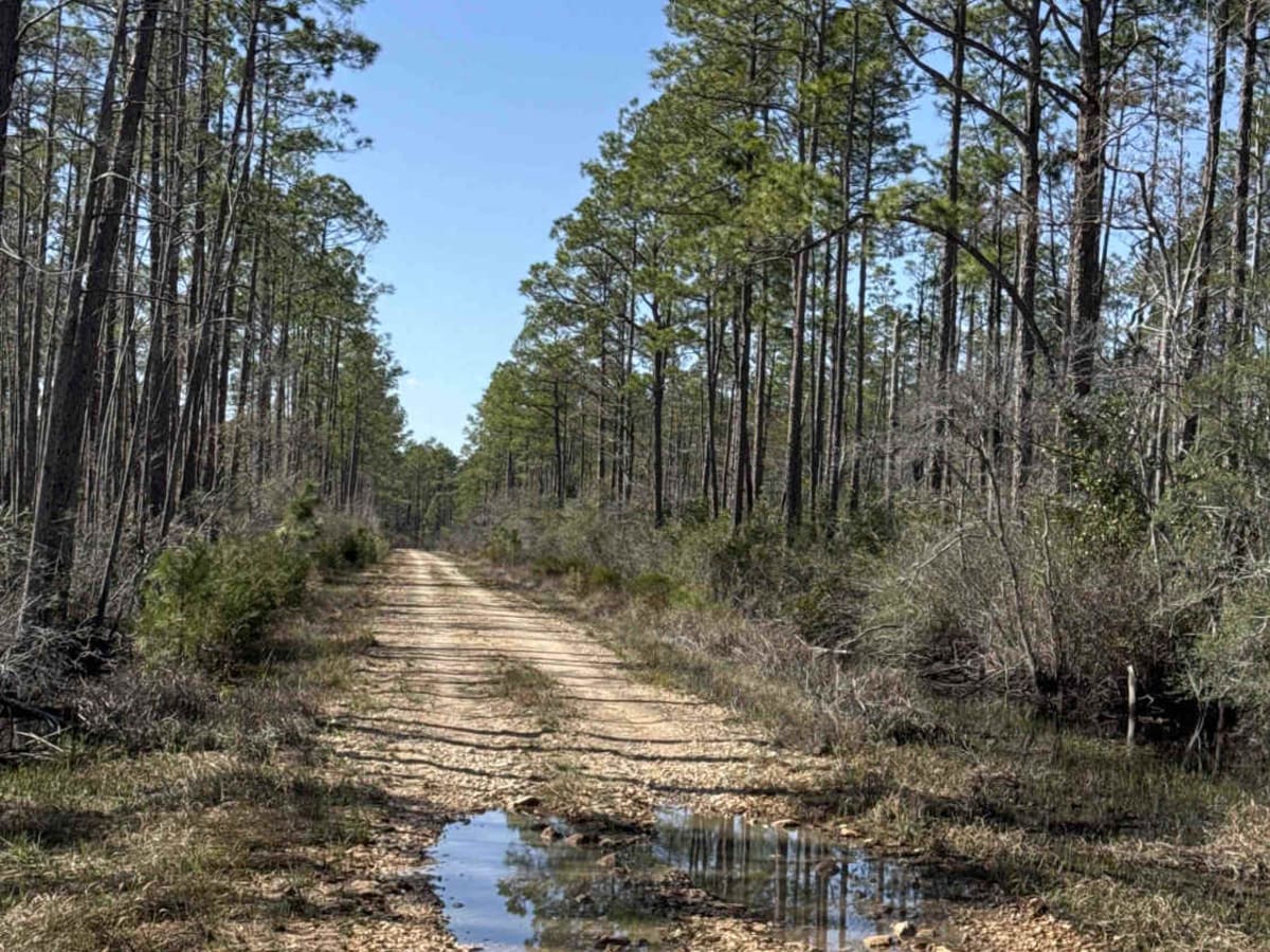 West Double Bridge Road trail photo