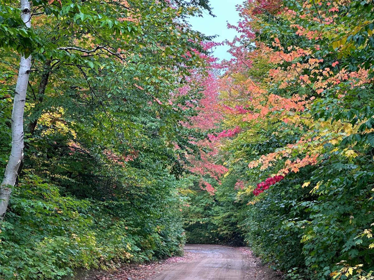 Sucker River Road photo 5