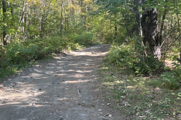 Zonner Road to Cliffy Jewel Pasture Road