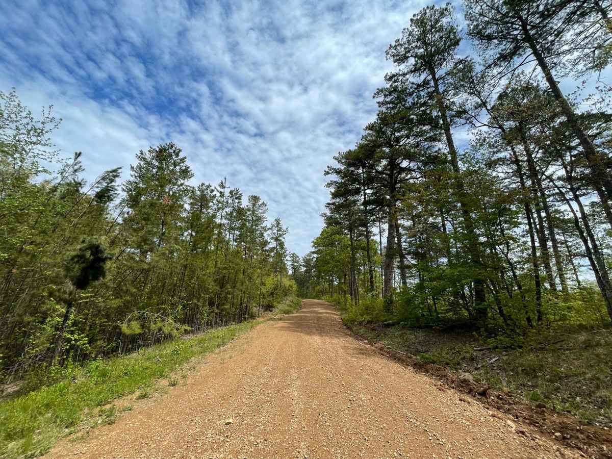 Radio Tower Road (178A) photo 2
