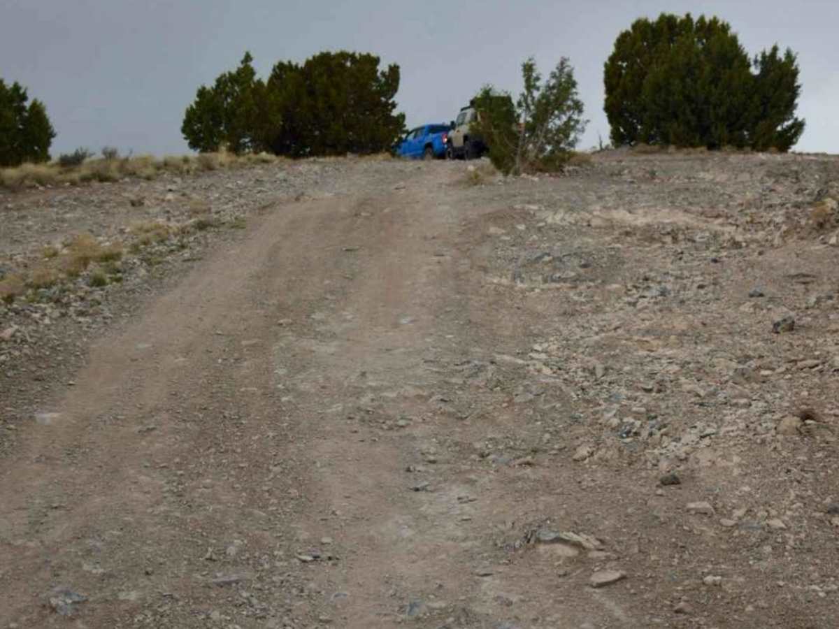 Tight Tree Trail photo 5