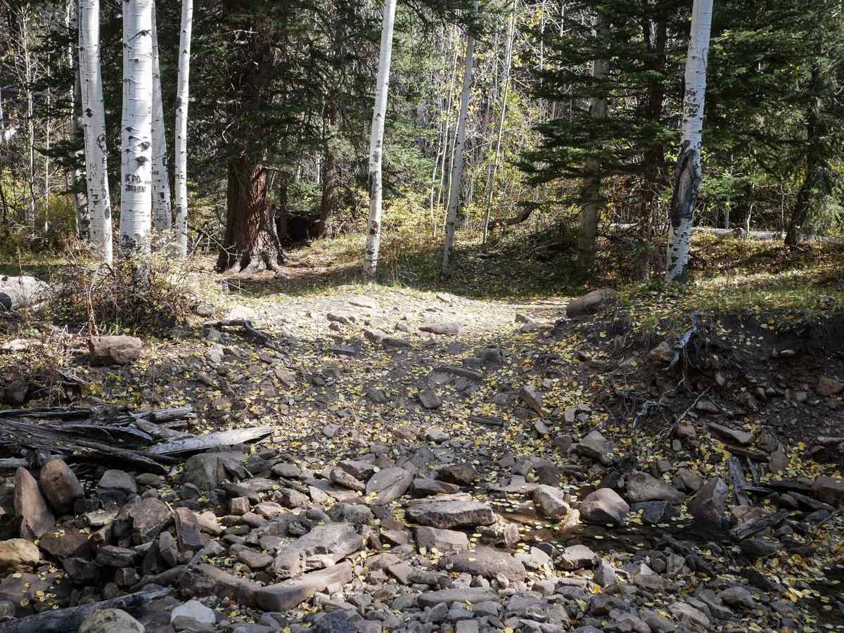 Spring Creek ATV Trail (East) trail photo