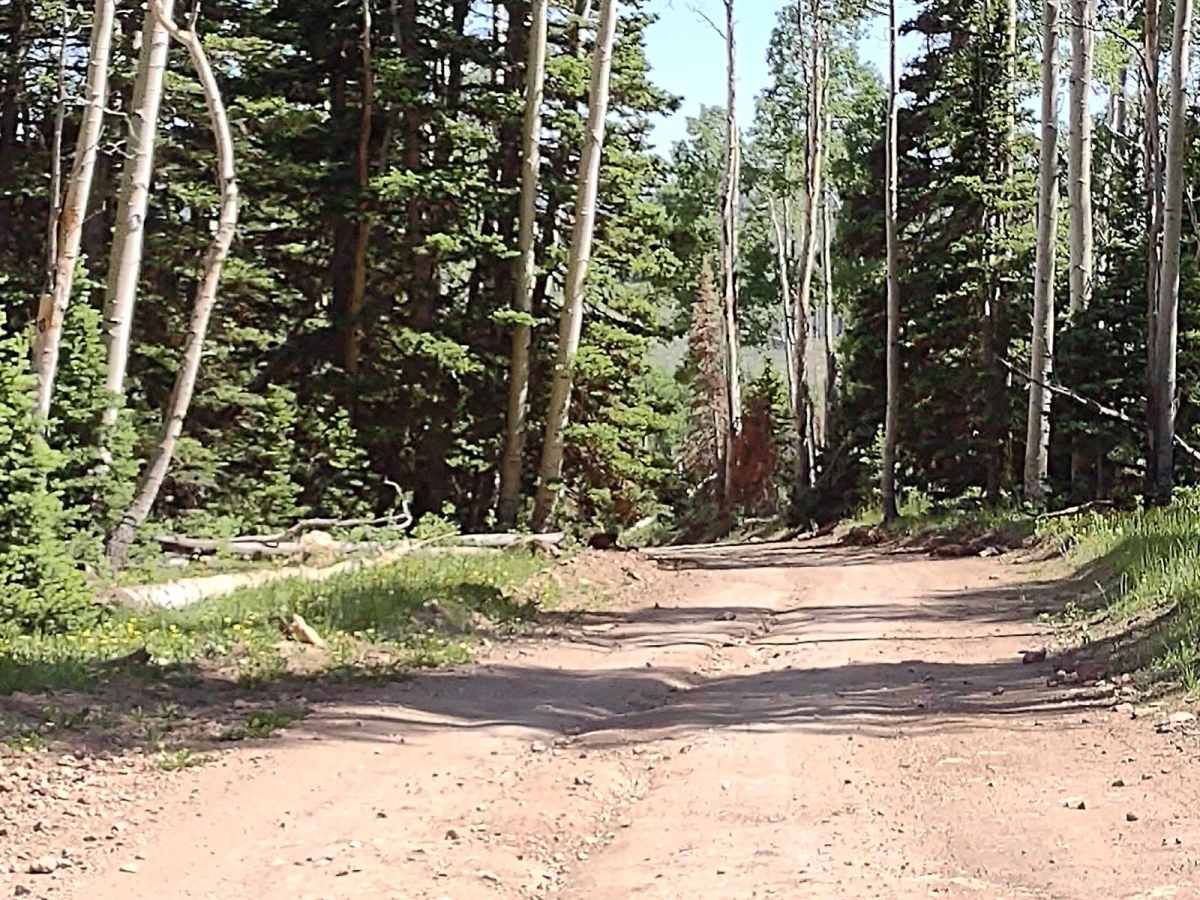 Dry Creek Road - FS 40183) photo 3