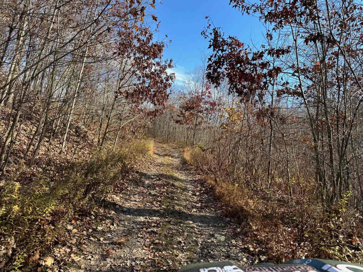 Ashland 159 photo 3