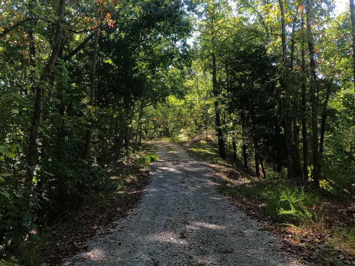 Mays Hollow Road - FS 343 photo 6
