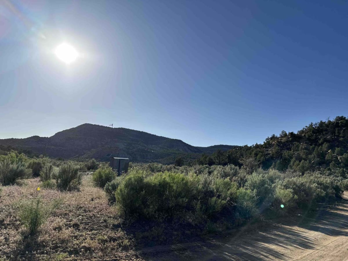 Munoz Creek/NFS 357 photo 3