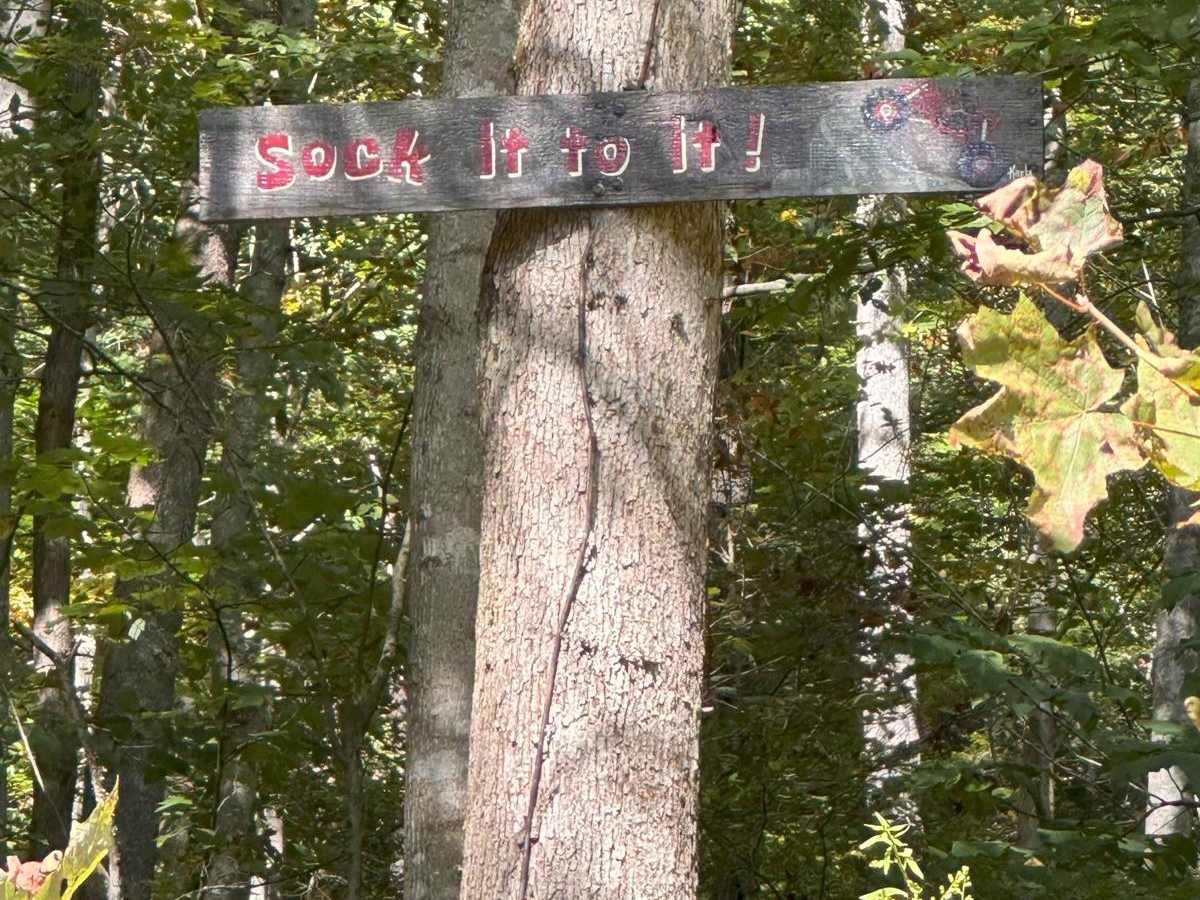 Sock It To It trail photo