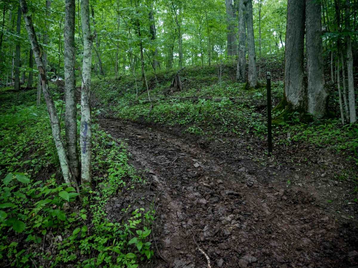 T25 trail photo