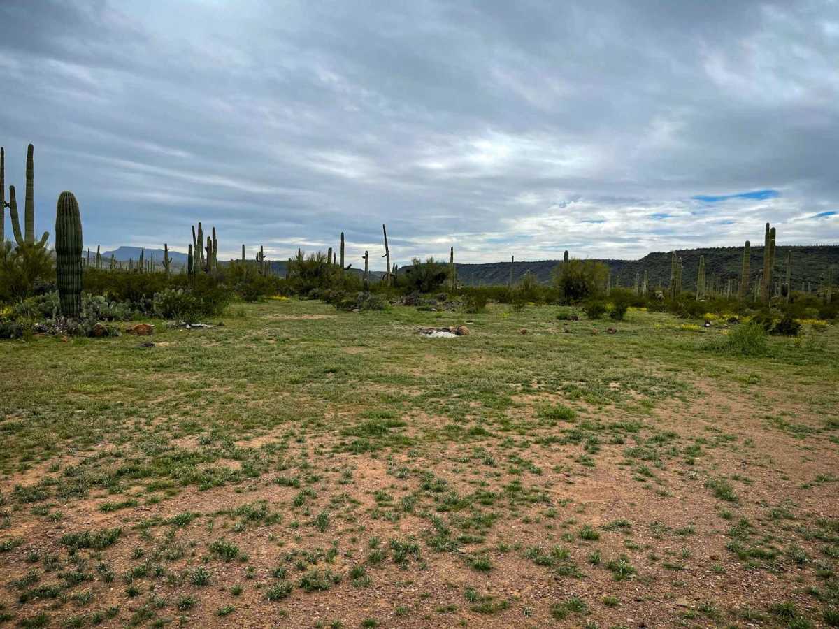 Jackrabbit Trail trail photo