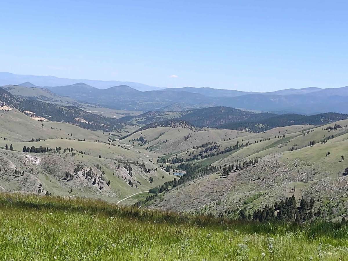 Bluebird Mine Trail Loop photo 4