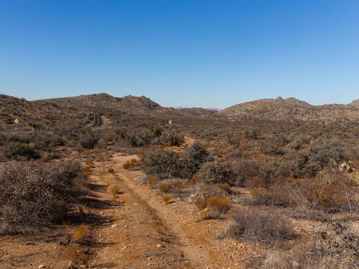 Quail Spring Cutoff photo 2