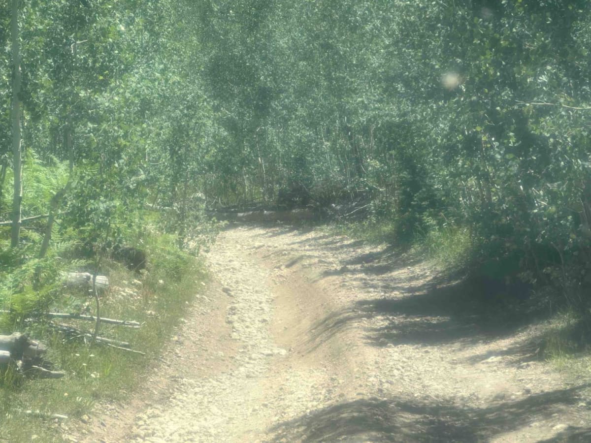 Point Sublime Trail - South Entrance photo 3