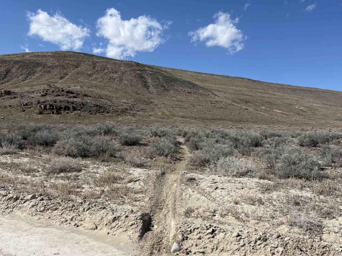 Bushmaster trail photo