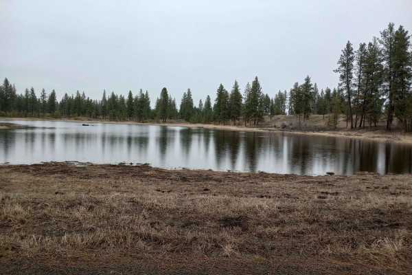 Turnbull's Pine Creek Auto Route