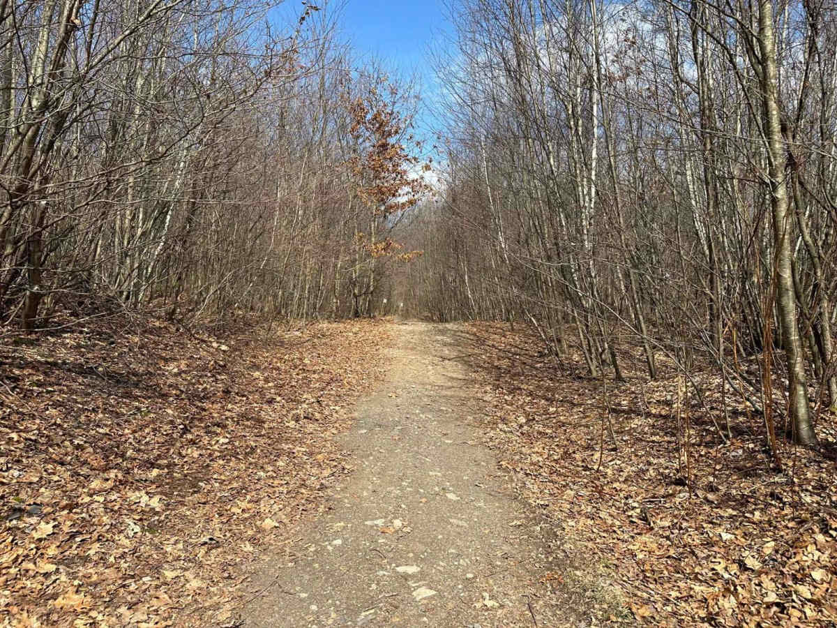 Ashland 110 photo 2