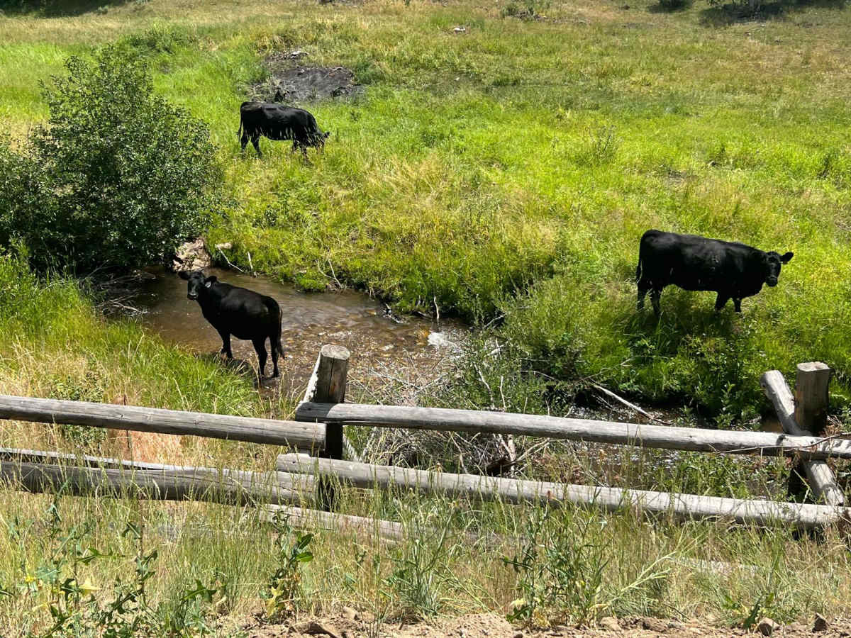 Granite Creek Road (161/49) photo 6