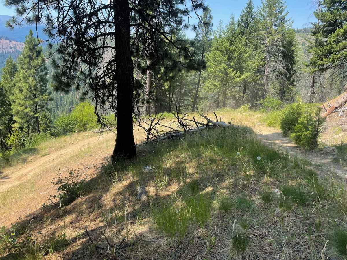 Grass Mountain ATV photo 6