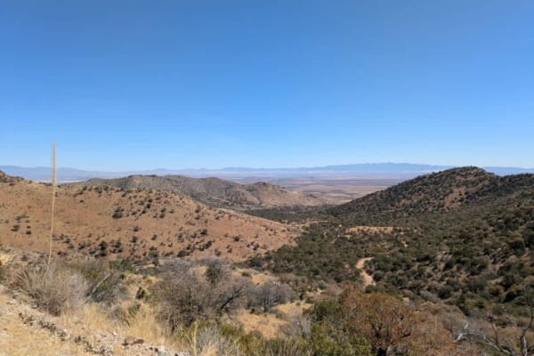 Middlemarch Pass