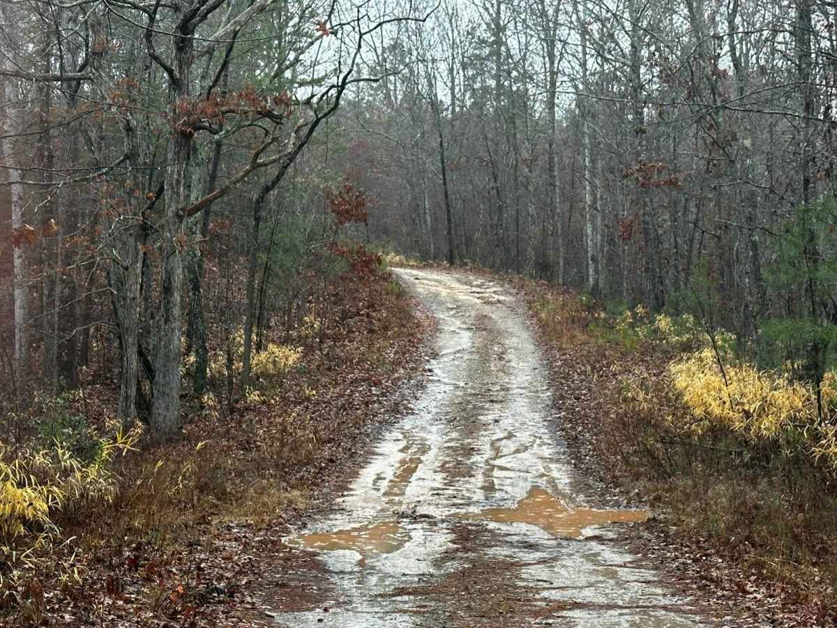 Black Mountain Road - FSR 139 photo 3